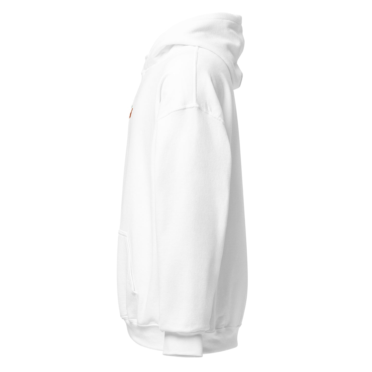 Outer Reach Swoosh Hoodie